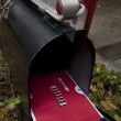 netflix-movies-in-the-mail-by-iantmcfarland