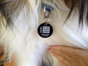 qr-code-pet-id-tags