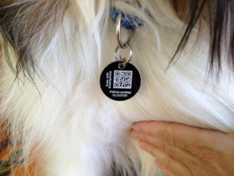 Custom QR codes used on dog tags make your dog safer